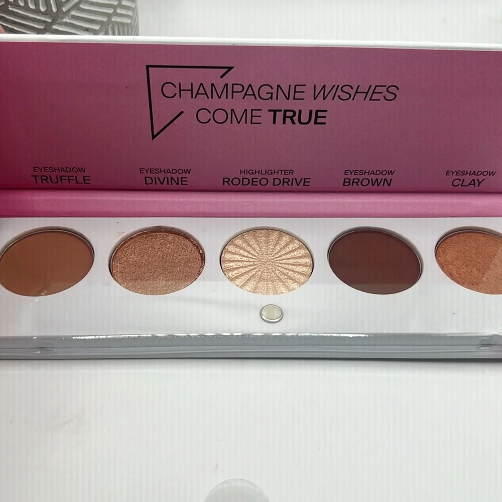 Ofra Champagne Wishes Come True Signature Luxe Eye Shadow Palette